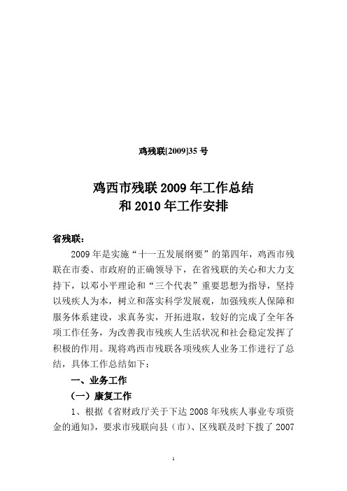 2009年工作总结