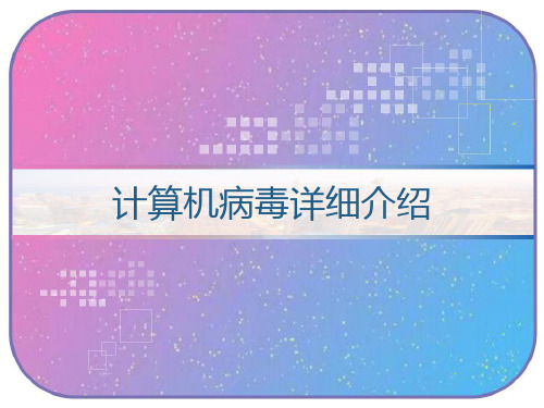 计算机病毒详细介绍 PPT