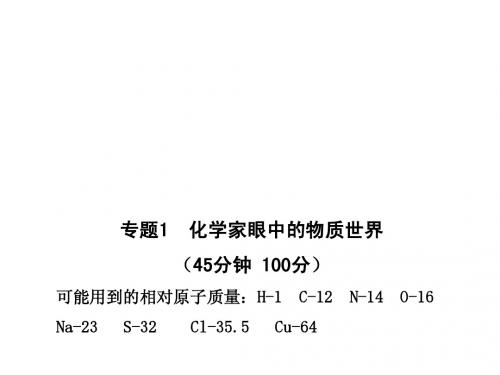 10-11高中化学课时讲练通课件：专题质量评估(一)(苏教版必修1)