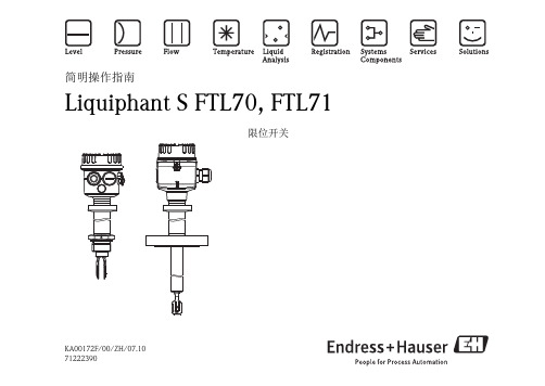 E+H Liquiphant S FTL70 FTL71 限位开关简明操作指南