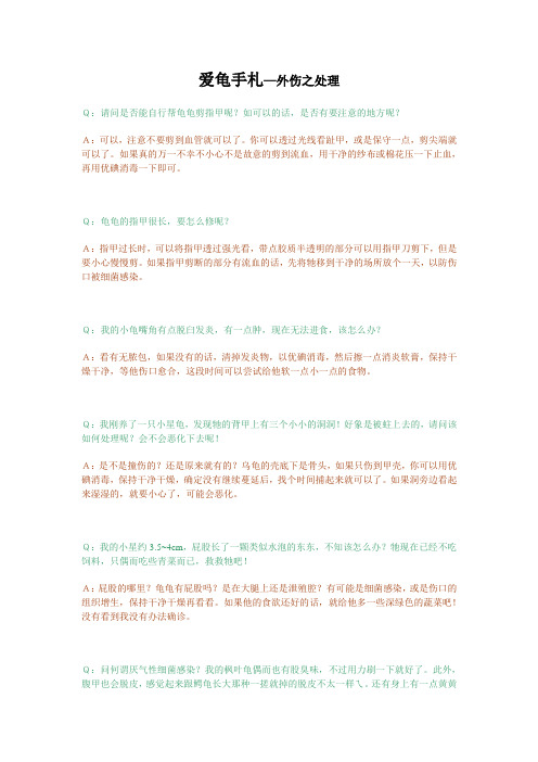 爱龟手札—外伤处理
