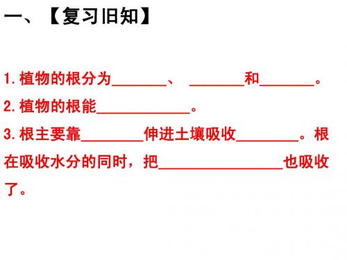 四年级上册《植物的叶》PPT