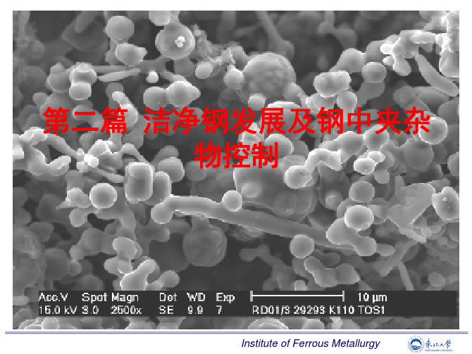 第二篇洁净钢发展及钢中夹杂物控制