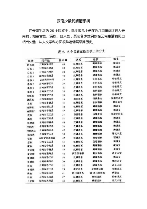 云南少数民族谱系树