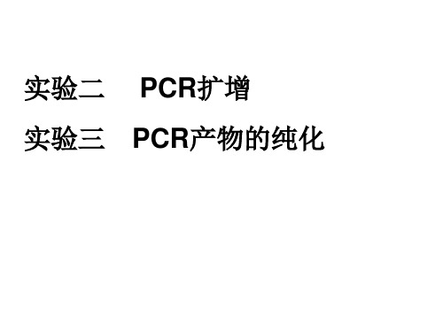 实验二PCR扩增及其产物的纯化