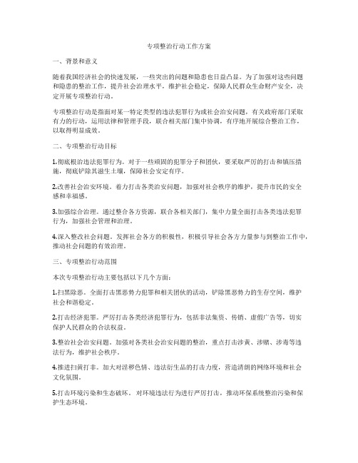 专项整治行动工作方案