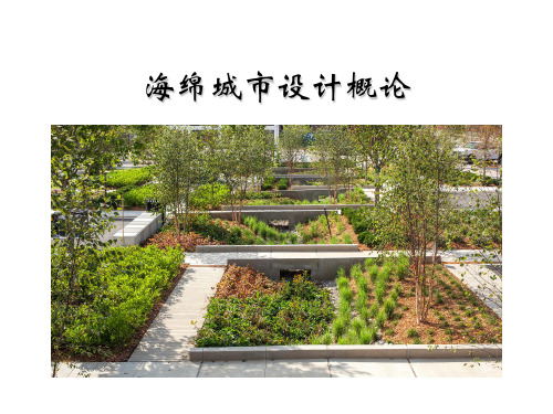 海绵城市设计概论