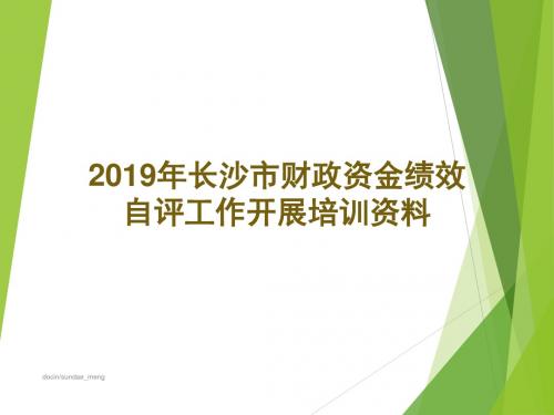 【培训课件】2019年长沙市财政资金绩效 自评工作开展培训资料-文档资料