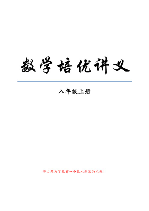 新人教版 八年级上数学课课外辅导、培优经典讲义