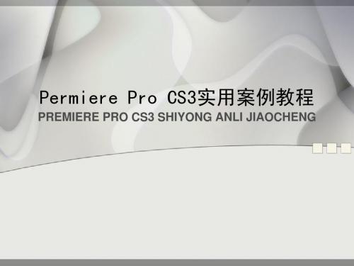 《Permiere Pro CS3实用案例教程》第7章 插件应用