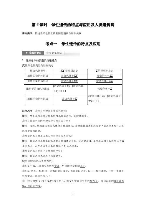 2023年高考生物一轮复习(新人教新高考) 第5单元 第6课时 伴性遗传的特点与应用及人类遗传病