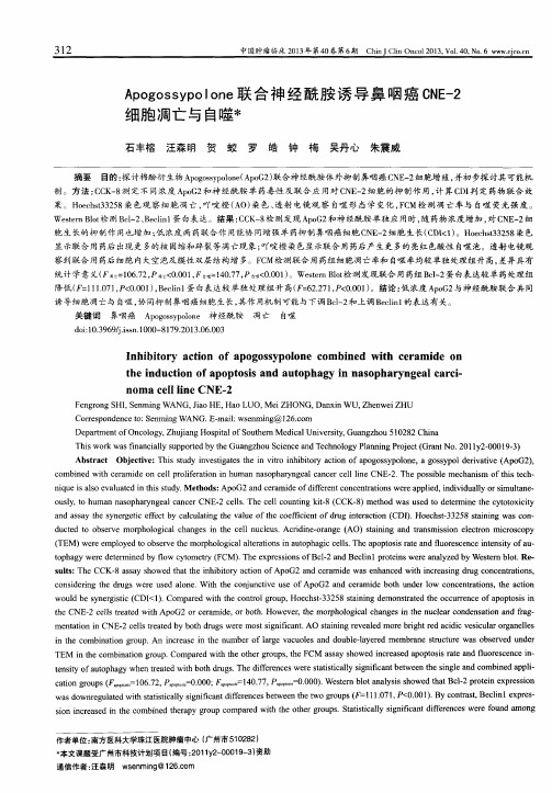 Apogossypolone联合神经酰胺诱导鼻咽癌CNE-2细胞凋亡与自噬