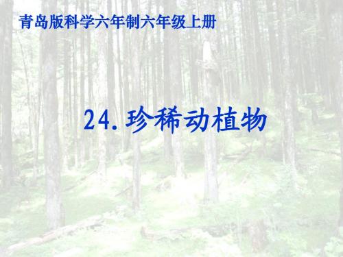 青岛版六年级科学上册24珍稀动植物