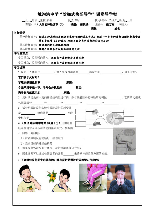 16.1人体的神经调节(2)