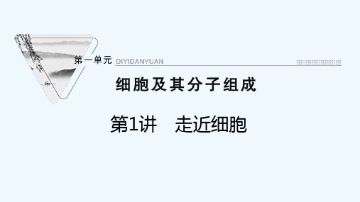 2022届高考生物一轮复习第一单元细胞及其分子组成第1讲走近细胞课件苏教版