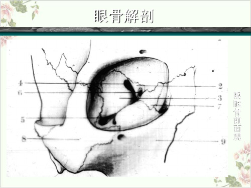 眼部疾病影像学诊断PPT.