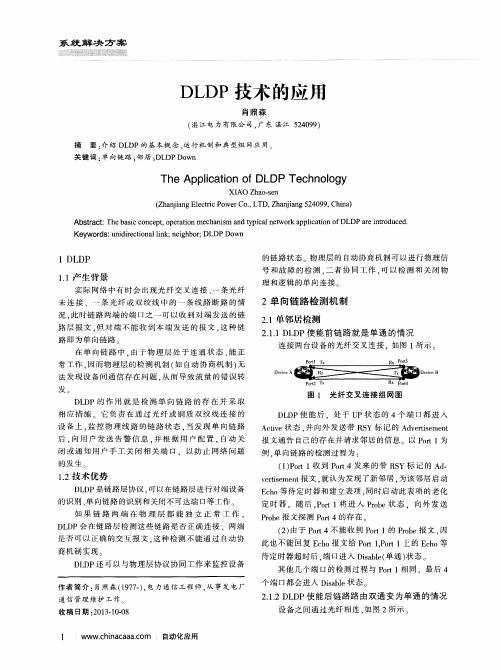 DLDP技术的应用