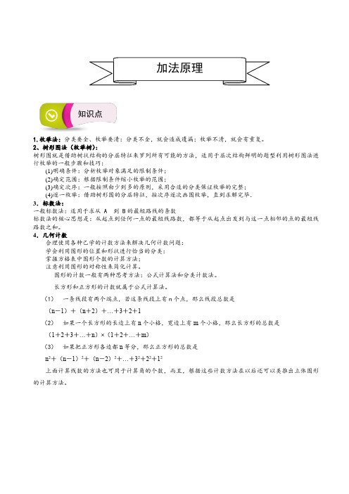 五年级下册数学奥数讲义-思维训练：加法原理-通用版