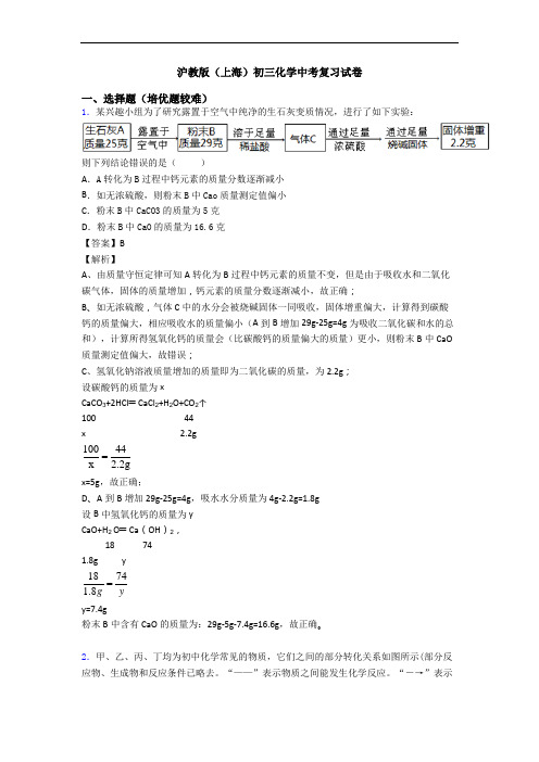 沪教版(上海)初三化学中考复习试卷