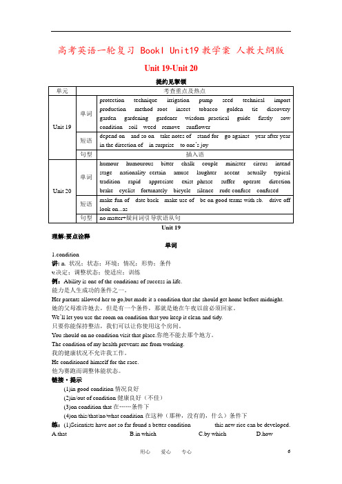 高考英语一轮复习 BookI Unit19教学案 人教大纲版