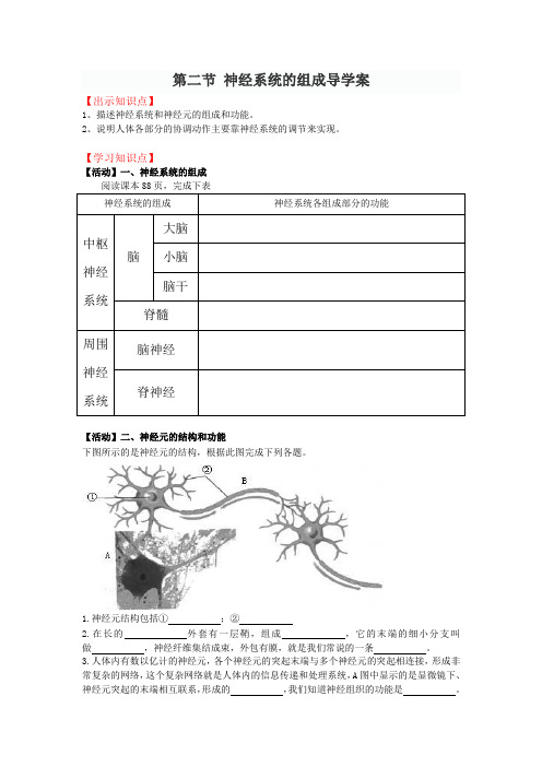 6.2 神经系统的组成导学案