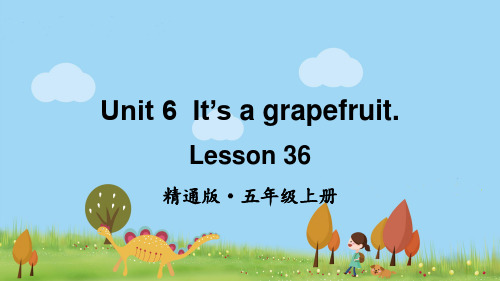 人教精通版五年级英语上册Unit 6 It’s a grapefruit  Lesson 36课件