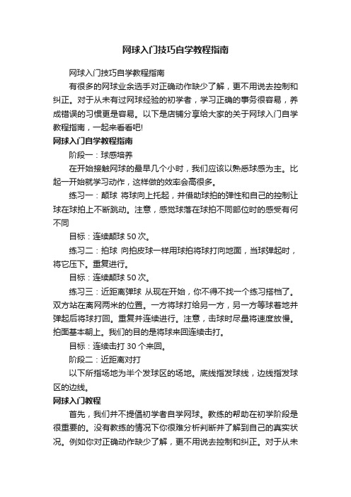 网球入门技巧自学教程指南