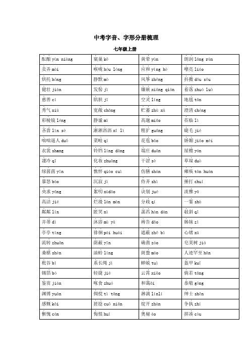 专题17 中考字音、字形分册梳理-中考语文背诵手册