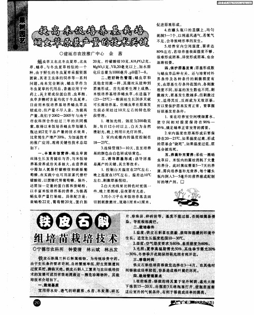 铁皮石斛组培苗栽培技术