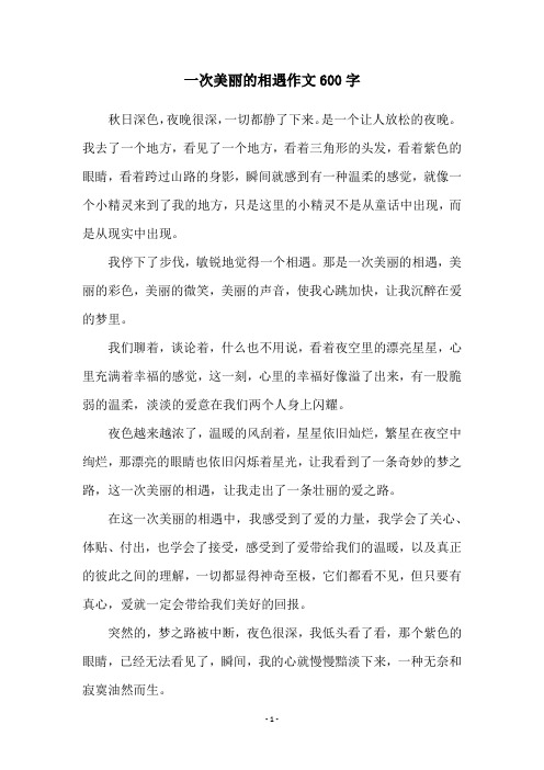 一次美丽的相遇作文600字