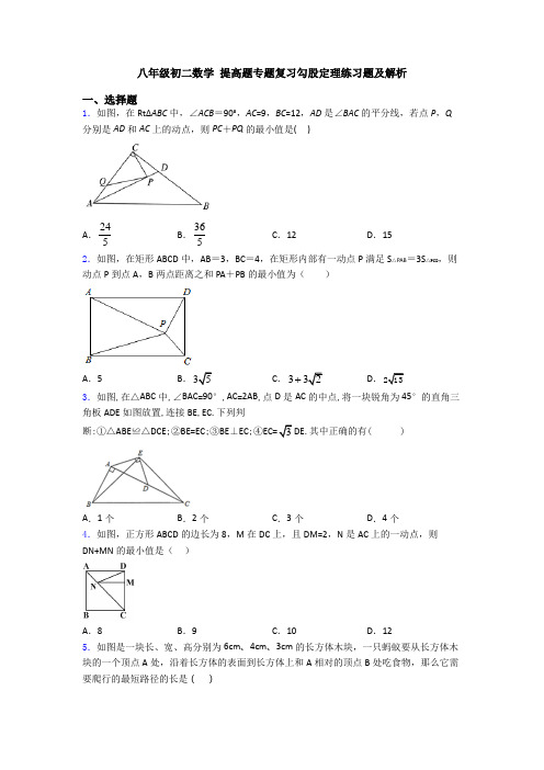 八年级初二数学 提高题专题复习勾股定理练习题及解析