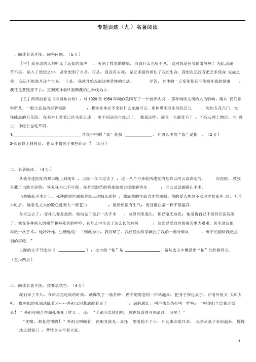 中考语文总复习语文知识积累与综合运用专题训练名著阅读