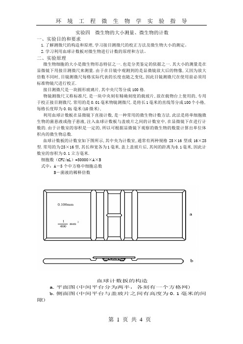 实验  微生物的大小测量