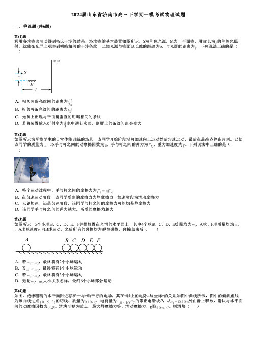 2024届山东省济南市高三下学期一模考试物理试题