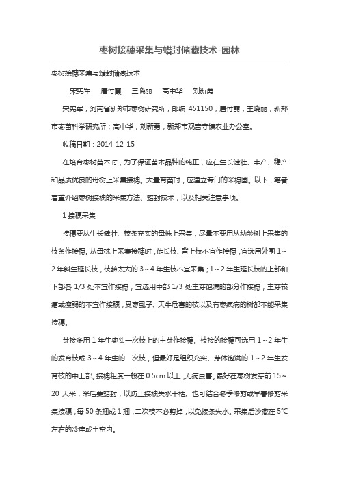 枣树接穗采集与蜡封储藏技术