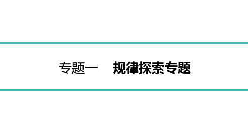 2022年中考数学总复习第二部分专题培优指导 专题一规律探索专题