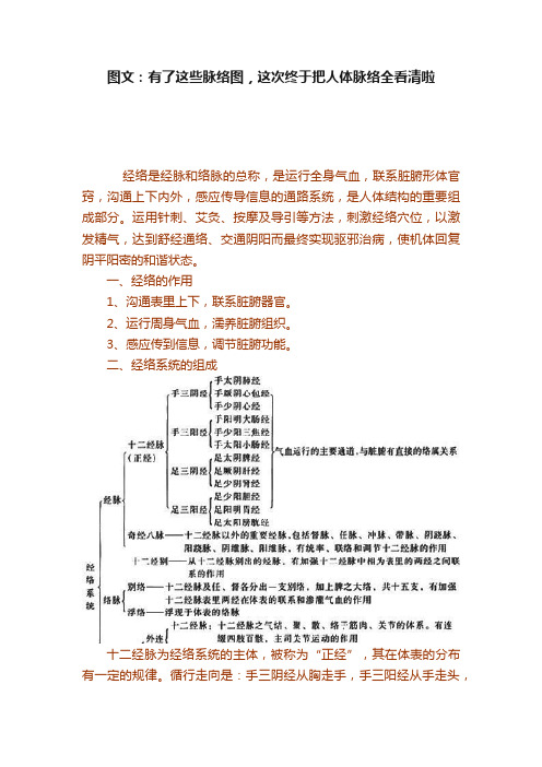 图文：有了这些脉络图，这次终于把人体脉络全看清啦