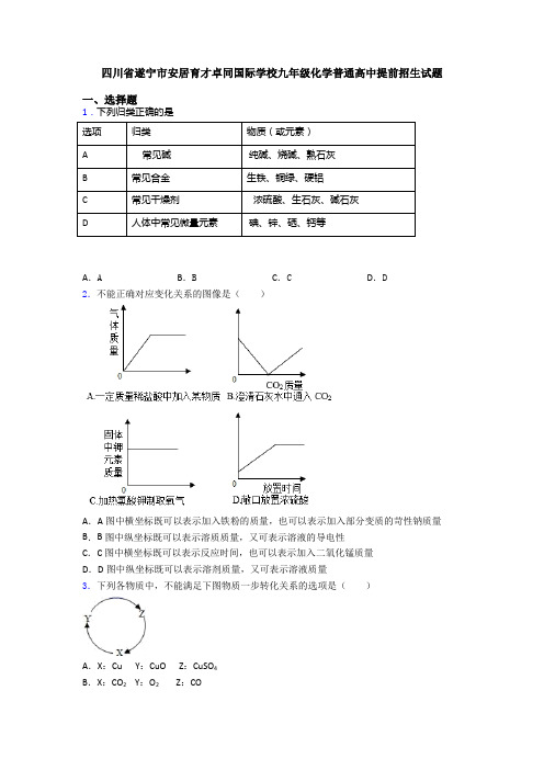 四川省遂宁市安居育才卓同国际学校九年级化学普通高中提前招生试题