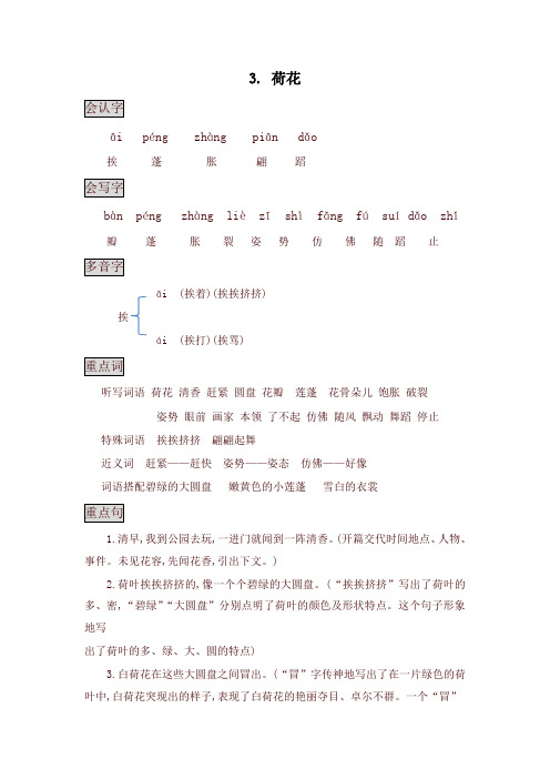 部编版三年级语文下册3. 荷花知识点总结课堂笔记 