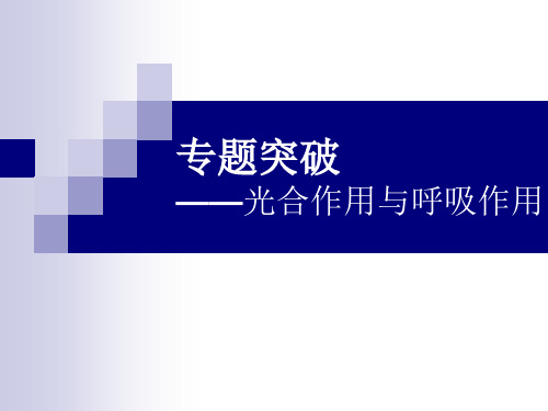 2019届二轮复习光合作用与细胞呼吸 课件(适用全国)