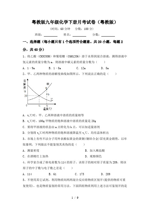 粤教版九年级化学下册月考试卷(粤教版)