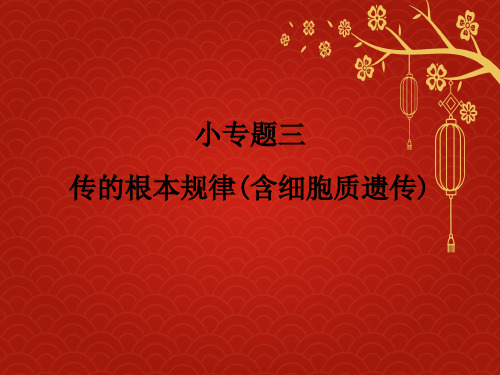 临门一脚高考生物三轮考前重点专题突破课件:专题三遗传的基本规律含细胞质遗传课件生物