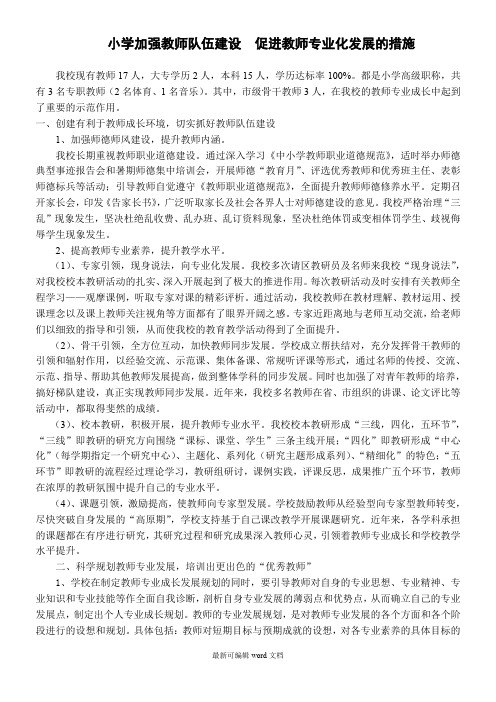 小学加强教师队伍建设 促进教师专业化发展的措施