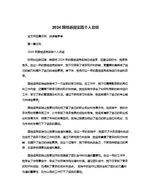 2024国培返岗实践个人总结