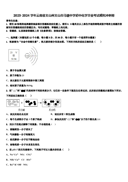 2023-2024学年云南省文山州文山市马塘中学初中化学毕业考试模拟冲刺卷含解析