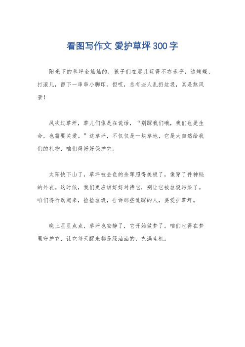 看图写作文 爱护草坪300字