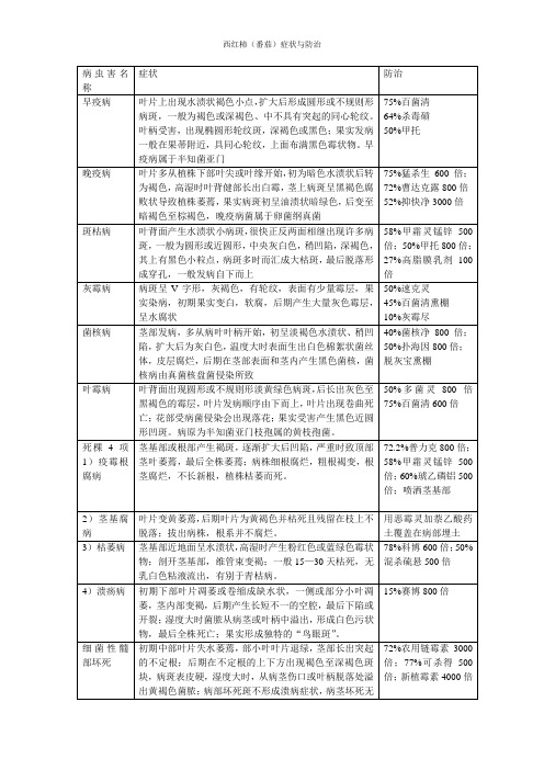 西红柿病害症状与防治