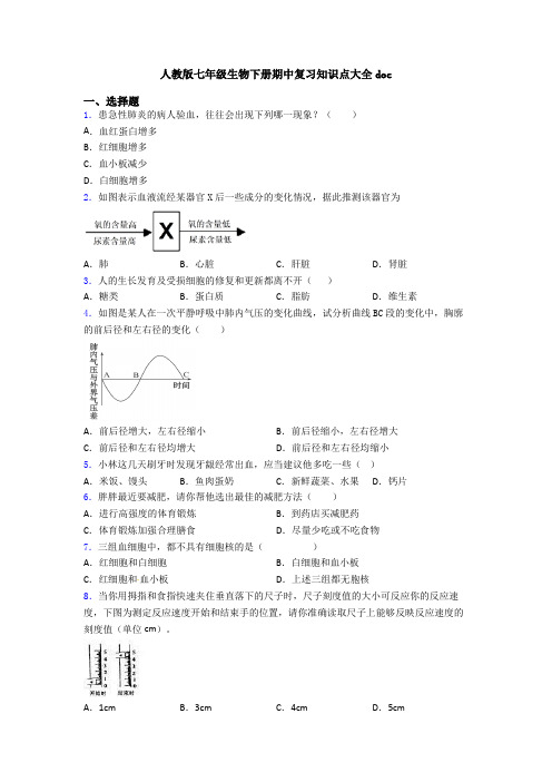 人教版七年级生物下册期中复习知识点大全doc (2)