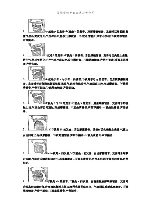 国际音标发音方法与舌位图