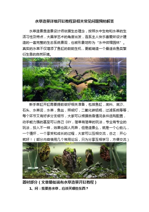 水草造景详细开缸教程及相关常见问题预防解答